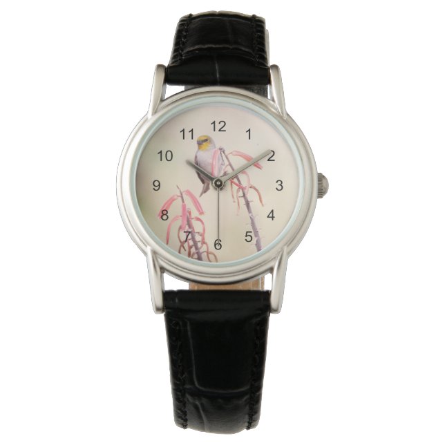 Reloj De Pulsera Verdin encaramado sobre pénstemo (Anverso)