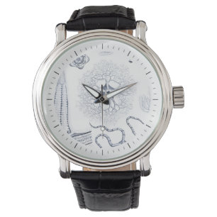 Reloj De Pulsera Vida marina prehistórica - Crinoids, Ophiura