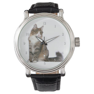 Reloj De Pulsera Vigilancia de gatos forestales en Noruega