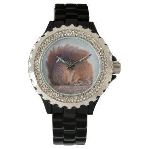 Reloj De Pulsera Vigilancia de la ardilla del yoga