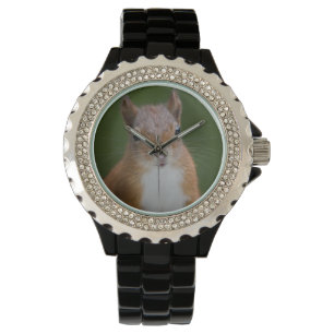 Reloj De Pulsera Vigilancia de la ardilla sedienta