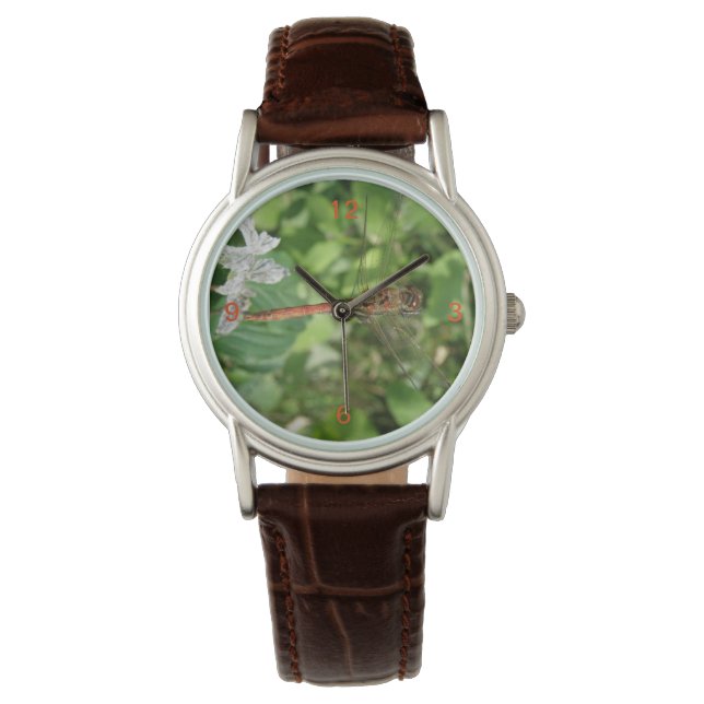 Reloj De Pulsera Vigilancia de la mosca de la mosca negra común (Anverso)