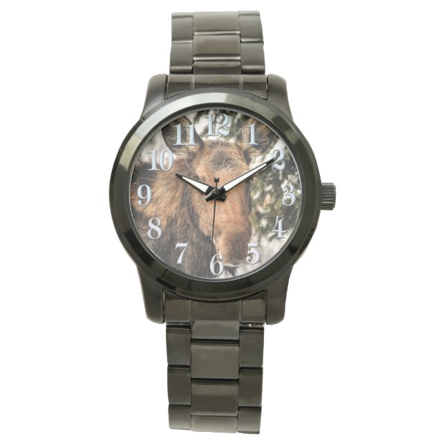 Reloj De Pulsera Vigilancia de la vida silvestre de las Ramas Moose (Anverso)