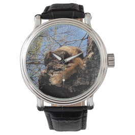 Reloj De Pulsera Vigilancia de las ardillas