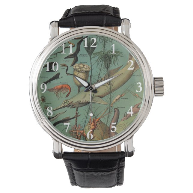 Reloj De Pulsera Vintage Fish Marine Life Watch (Anverso)
