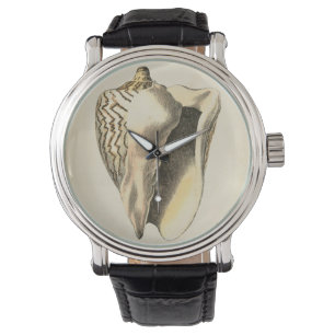 Reloj De Pulsera Vintage Sepia Conch Shell