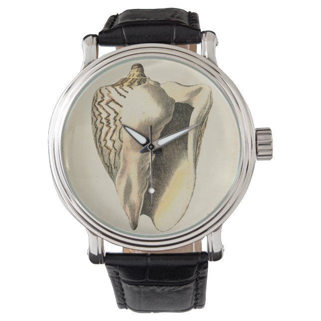 Reloj De Pulsera Vintage Sepia Conch Shell (Anverso)