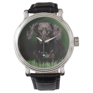 Reloj De Pulsera Vista de Dachshund de color moteado