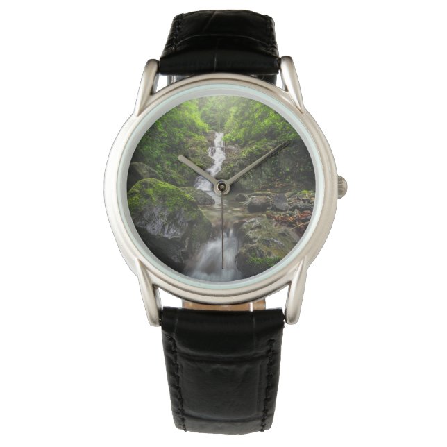 Reloj De Pulsera Waterfalls | Phayao Mountain National Park (Anverso)