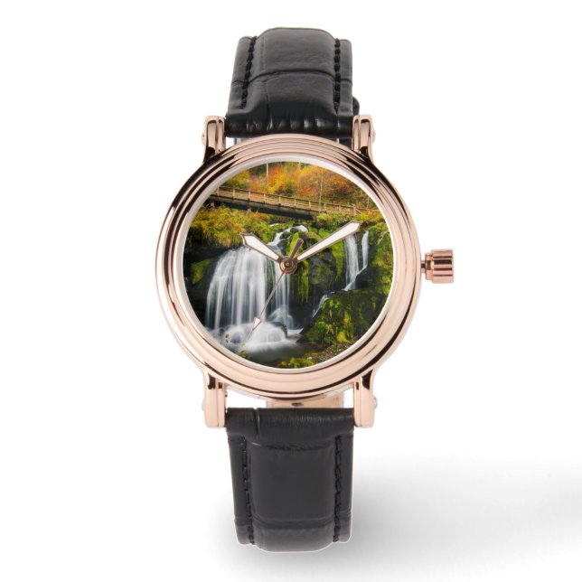 Reloj De Pulsera Waterfalls | Triberg Waterfalls, Germany (Anverso)