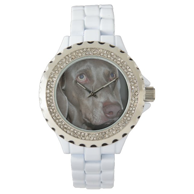 Reloj De Pulsera Weimaraner (Anverso)