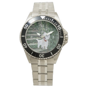 Reloj De Pulsera Westie en escaleras de hiedra