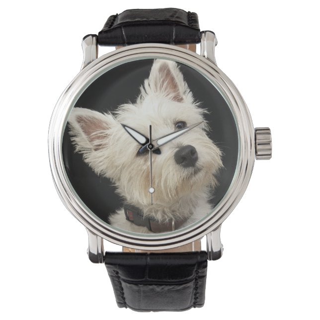 Reloj De Pulsera Westie (West Highland terrier) con cuello (Anverso)