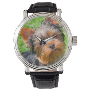Reloj De Pulsera Yorkshire Terrier mirando