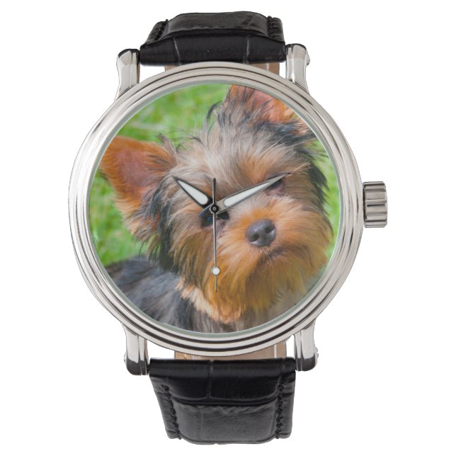 Reloj De Pulsera Yorkshire Terrier mirando (Anverso)