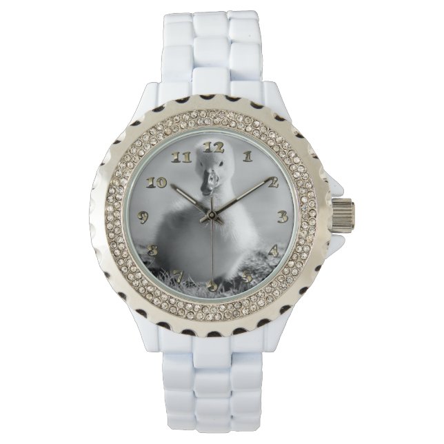 Reloj De Pulsera Young Duckling Swan (Anverso)