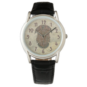 Reloj De Pulsera Yuepingia Fossil Trilobita
