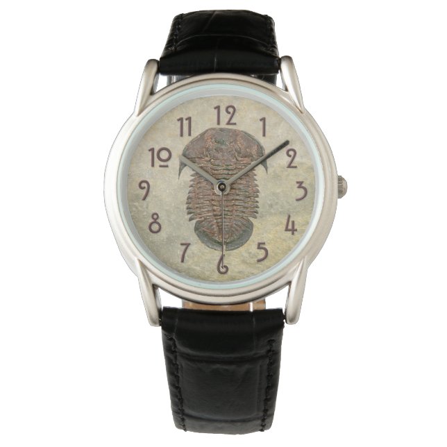 Reloj De Pulsera Yuepingia Fossil Trilobita (Anverso)
