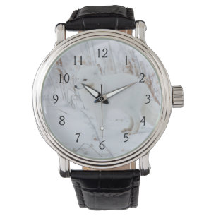 Reloj De Pulsera Zorro Ártico