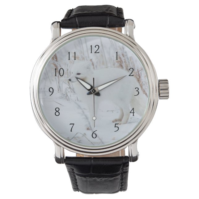 Reloj De Pulsera Zorro Ártico (Anverso)