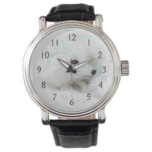 Reloj De Pulsera Zorro ártico acurrucado en invierno