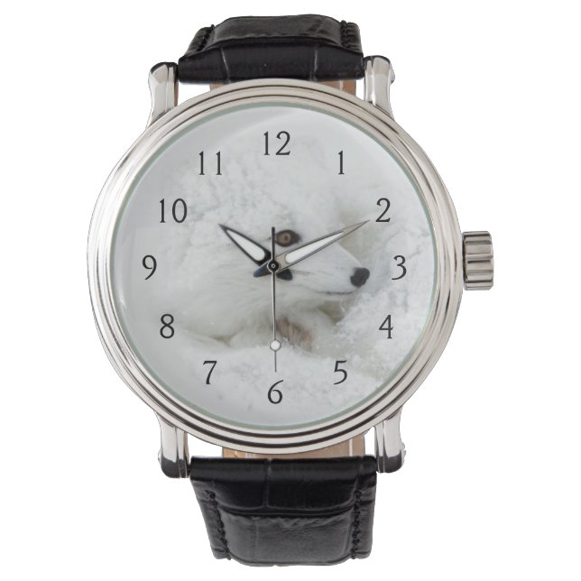Reloj De Pulsera Zorro ártico acurrucado en invierno (Anverso)