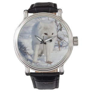 Reloj De Pulsera Zorro Ártico, Área de Manejo de Vida Silvestre de