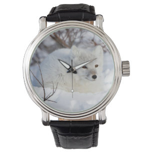 Reloj De Pulsera Zorro ártico en invierno