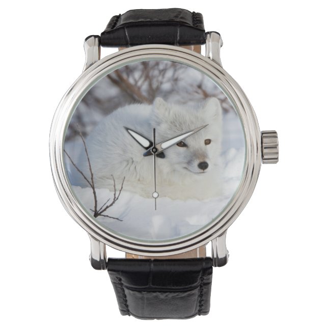 Reloj De Pulsera Zorro ártico en invierno (Anverso)