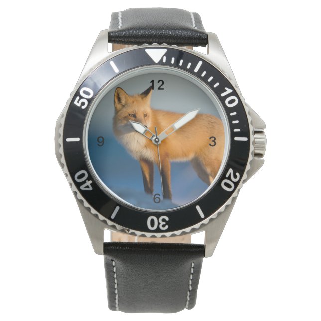 Reloj De Pulsera Zorro marrón (Anverso)