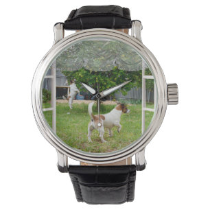 Reloj De Pulsera Zorro Terriers Explorando El Jardín,