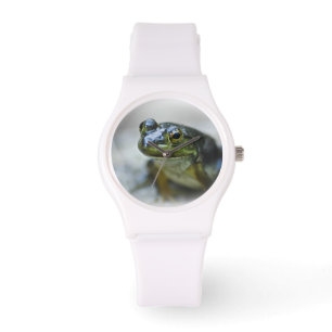 Reloj de rana verde