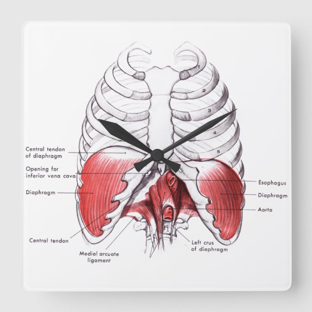 Reloj de sala de masajes (Anverso)