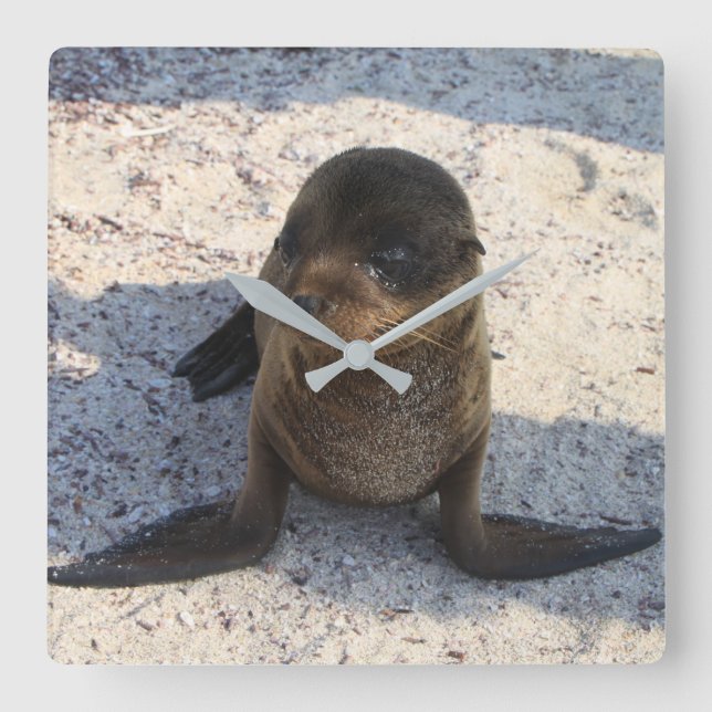 Reloj de sellado (Anverso)