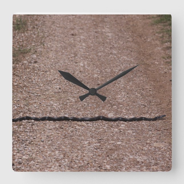 Reloj de serpiente de rata (Anverso)