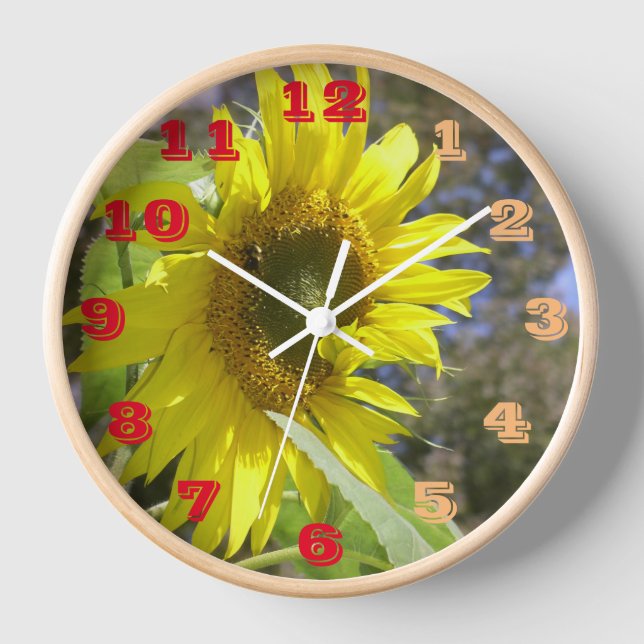 Reloj de tiempo de girasol (Anverso)