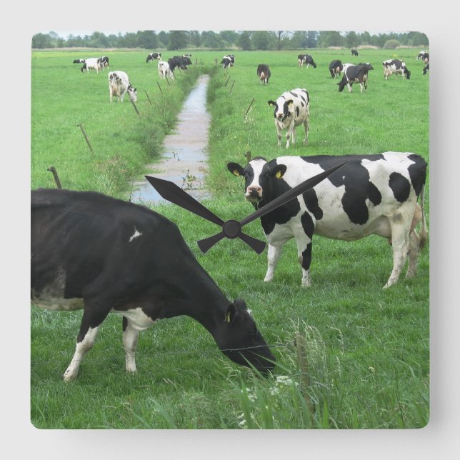 Reloj de vaca (Anverso)