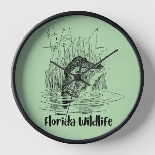 Reloj de vida silvestre de Florida