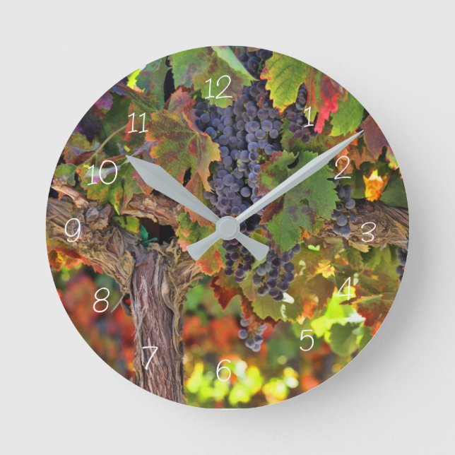 Reloj de viñedos de uva de vino (Anverso)