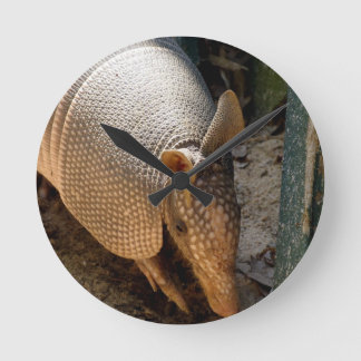 Reloj del armadillo