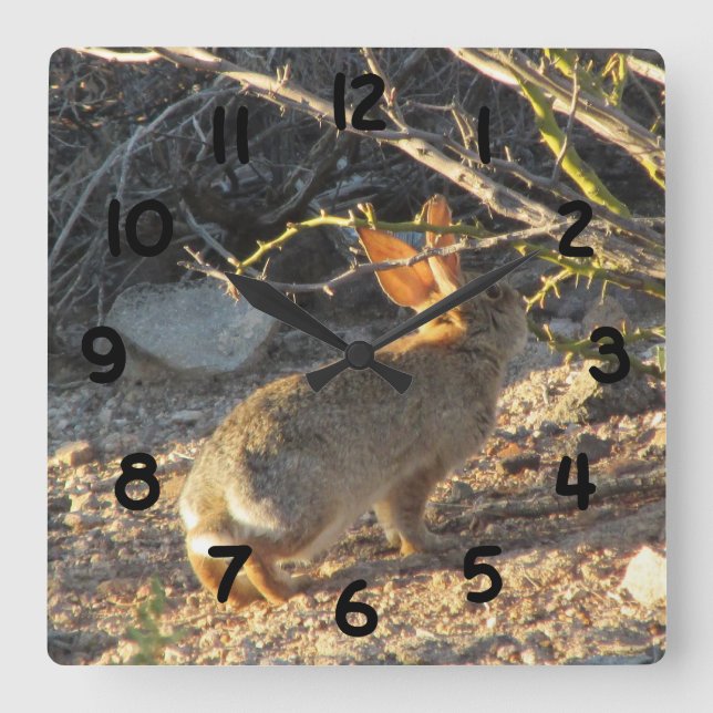 Reloj del conejo de conejo de rabo blanco del (Anverso)