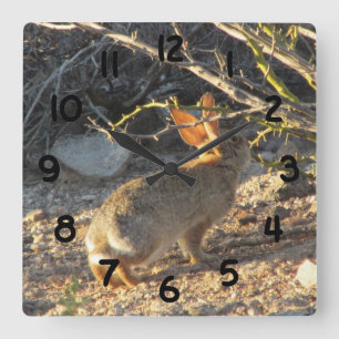 Reloj del conejo de conejo de rabo blanco del