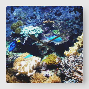 Reloj del cuadrado del acuario del agua salada