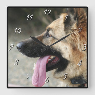 Reloj del cuadrado del perro de pastor alemán