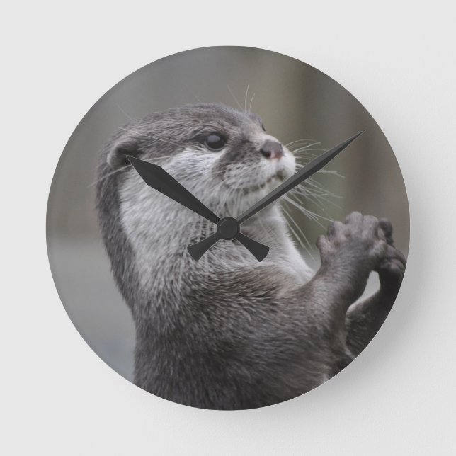 Reloj del genio de la nutria (Anverso)