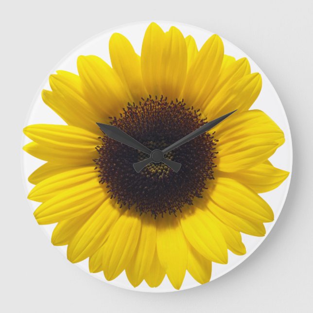Reloj del girasol (Anverso)