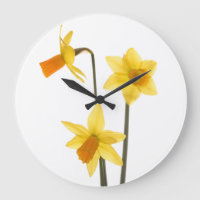 Reloj del narciso