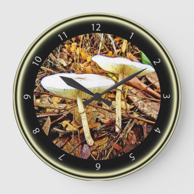 Reloj Delicado de champiñón blanco (Anverso)