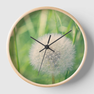 Reloj Diente de león en un cuento de hadas