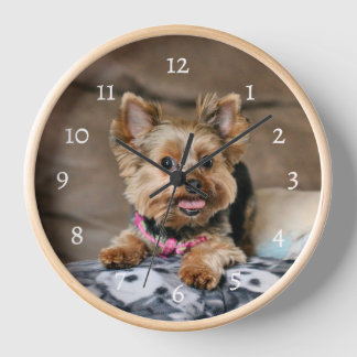 Reloj Díntimo dinamo